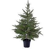 IKEA VINTERFINT yapay bitki yeşil - 10636388