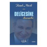 İmbik Yayınları Delicesine