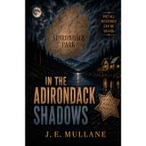 In the Adirondack Shadows