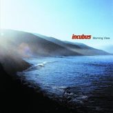 Incubus - Morning View - 2LP Plak