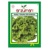 Iri Kıvırcık Marul Tohumu 10 Gram