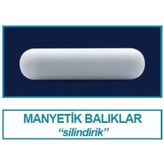 İsolab 057.01.025 Manyetik Balık - 25 X 6 Mm (10 Adet)