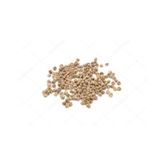 Ispanak Tohumu 100 GR