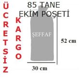 İstiridye Mantarı Kompost Poşeti 85 Adet