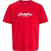 Jack & Jones Jorcatskills Çocuk Tişört - 10 Yaş - Kırmızı