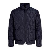 Jack & Jones Kapitone Ceket, 12302326