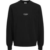Jack&jones Brandon Transitional Erkek Siyah Kapüşonlu Mont