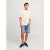 Jack&Jones Jjıchris Jjcooper Erkek Jean Şort
