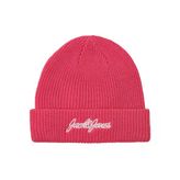 Jack&Jones Minimalist Erkek Örgü Bere - Günlük Stil