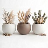 Japandi Tarzı Modern Küre Saksı 3'lü Set - Su Sızdırmaz Dekoratif Salon ve Balkon Saksısı Hediyelik Çiçeklik Seti (Beyaz ve Mocha, Orta Boy)