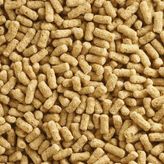 Japon Balığı Yemi Sade 100 Gr