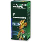 JBL Proscape 250 ml P Fosfor Makroelements Sıvı Gübre