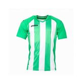 Joma 1202.98.016 Yeşil Pisa Erkek Futbol Forması
