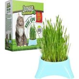 Jungle-Fileli Kedi Çimi - Standart