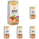 Juss Karışık Nektar 200 ml (5 paketi)