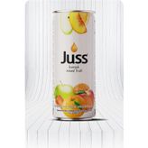 Juss Karışık Nektar 250 ml