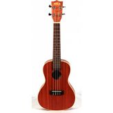Kala Maun EQ Concert Ukulele