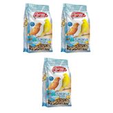 Kanarya Yemi 500 G - 3 Adet
