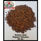 Kapari Tohumu 50 Gr. ( Ovata Cinsi ) Aşçı Murat Kapari