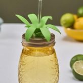 Karaca Ananas 550 ml Transparent Pipetli Su Şişesi
