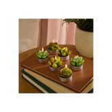 Karaca Home Sukulent 6'lı Tealight Mum