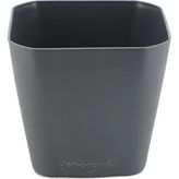 Kare Saksı 0.8 Lt – 800 ml Hacimli Modern Kare Tasarım Saksı