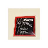 Karin Cümbüş Teli