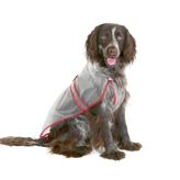Karlie Şeffaf 46 cm Köpek Yağmurluk