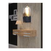 KARNAVAL DRESUAR ÇAM SİLVER S-DRS-1002-6
