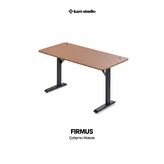 Karr Office Firmus Dayanıklı Çalışma Masası - 120x60 CM Bambu