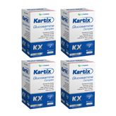 Kartix Glucosamine Complex 4x90 Kapsül