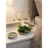 Kastasaksı 1 Adet 15X10 cm Skulentli Tabak Veya Duvar Dekorlu Modern Dekoratif Saksı - Krem