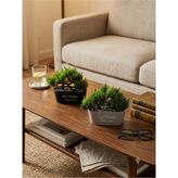 Kastasaksı 2 Li Set 20X16 cm Bonzai Yapay Bitkili Modern Dekoratif Saksı - Siyah