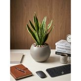 Kastasaksı 29X20 cm Plastik Iç Hazneli Mocca Modern Dekoratif Küre Saksi - Bej
