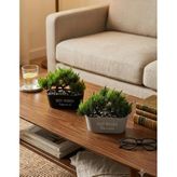 Kastasaksı 2'li Set 20x16 cm Bonzai Yapay Bitkili Modern Dekoratif Saksı, Siyah