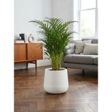 KastaSaksı 34x28 cm plastik beyaz modern yuvarlak konik saksi