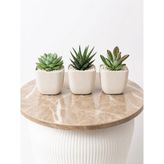 Kastasaksı Krem Bitkisiz 8,2x8,2x7,1 cm 3 Lü Modern 3 Lü Mercan Kare Saksı No 1 Sukulent Saksısı
