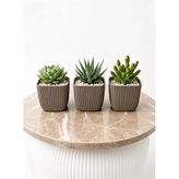 Kastasaksı Modern 3 Lü Kare Sukulent Saksısı, Kahverengi, 8,2x8,2x7,1 cm