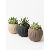 Kastasaksı Modern Dekoratif Bitki Saksı Seti, 3 Adet, 0,70 Litre, Çok Renkli, Plastik, Yuvarlak