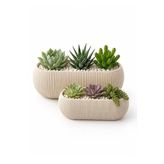 Kastasaksı Modern Krem Plastik Uzun Dikdörtgen Kaktüs ve Sukulent Çiçek Saksısı Seti, 1 ve 2 No, 25-30 cm