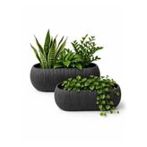 Kastasaksı Modern Uzun Kaktüs Sukulent ve Çiçek Saksısı, 1 Takım, Antrasit, Plastik, Dikdörtgen, 25-30 cm
