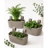 Kastasaksı Pera Modern Balkon ve Küpeşte Saksısı 3,2 Litre Krem Plastik Askılı Dikdörtgen 3'lü Set