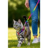 Kedi Bel Tasması ve Gezdirme