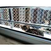 Kedi Filesi 2,75X16M (4cm Göz Aralıkları) Kedi Güvenlik Filesi Kedi Koruma Filesi Balkon Güvenlik Filesi Koruma Ağı - Beyaz - 2,75 x 16 m