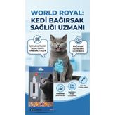 Kedi İç Parazit Bağırsak Rahatlatıcı