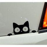 Kedi Oto Araba Sticker Yapıştırma