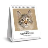 Kediler 2025 Masa Takvimi Çizgilerle