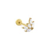 Kelebek Kanadı Tragus Piercing