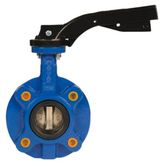 Kelebek Vana Pasl Lug Kv4 DN200
