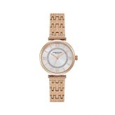 Kenneth Cole KC50260002 Kadın Kol Saati